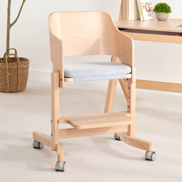 Elite Study Chair with Seat Cushion Set