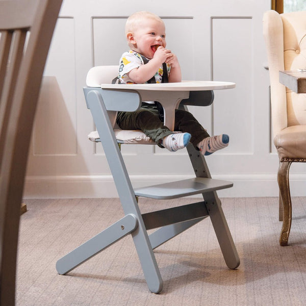 Neat Highchair with Backrest & Food Tray